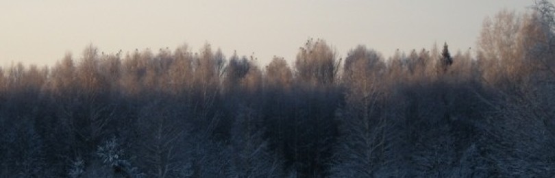 Охота на тетеревов с лунок