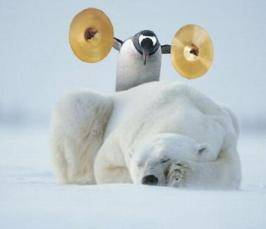 Почему медведи не едят пингвинов