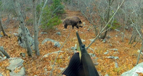 Охотник готовится стрелять