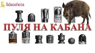 Пуля на кабана! Что ЛУЧШЕ - Videoohota(Пуля на кабана! http://www.dyplet.com/ КАК выбрать самую ЭФФЕКТИВНУЮ пулю для охоты на кабана? Пули для гладкоствольн. 2015-12-27T11:23:26.000Z)