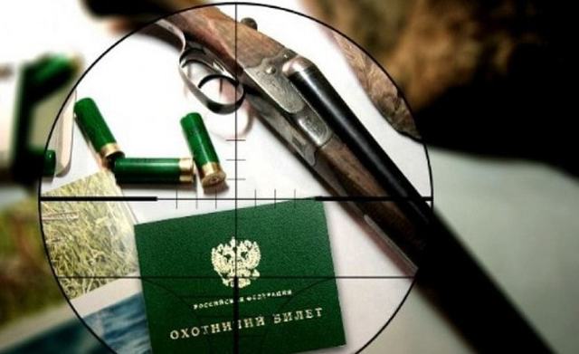 Как охотиться на кабана: с гладкоствольным оружием, видео, с подхода летом, осенью, загоном, на секача