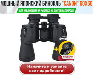 Как охотиться на кабана: с гладкоствольным оружием, видео, с подхода летом, осенью, загоном, на секача