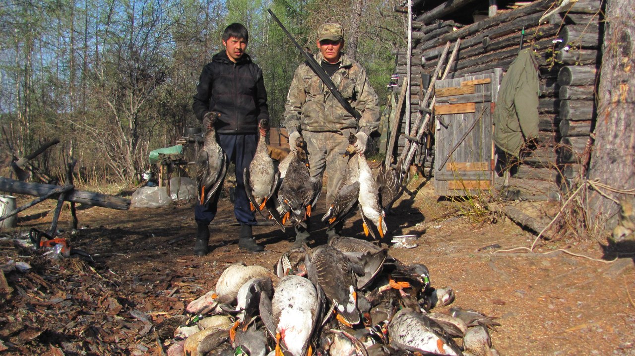 Охота на гуся в Якутии