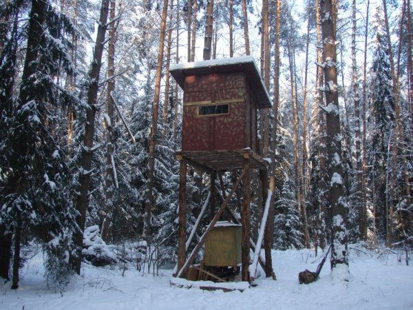 Охота на кабана с вышки