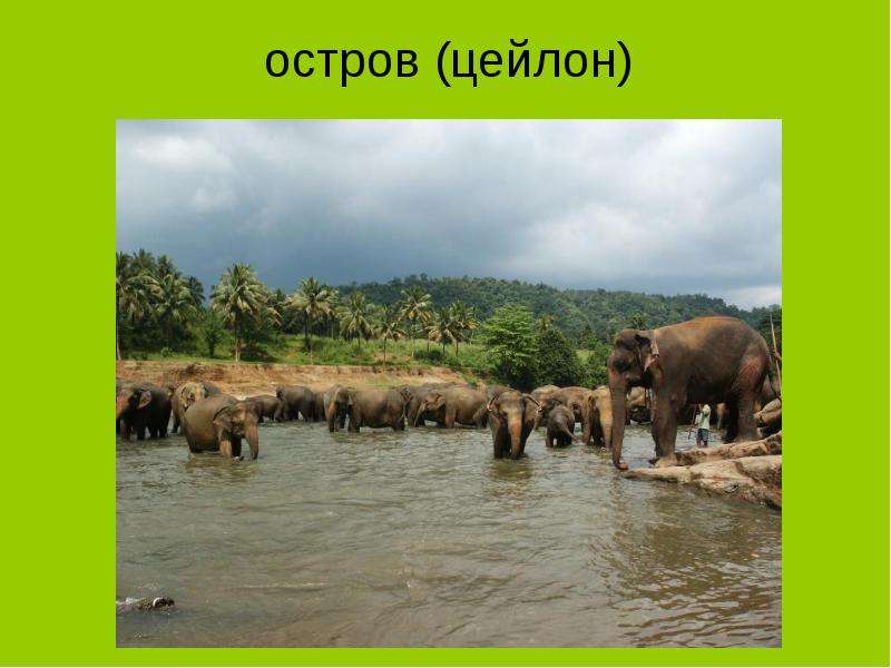 Словарный диктант «Имена собственные и нарицательные», слайд №12