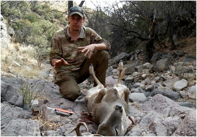 Советы по охоте на оленей: что нужно знать, чтобы выжить, чтобы выжить