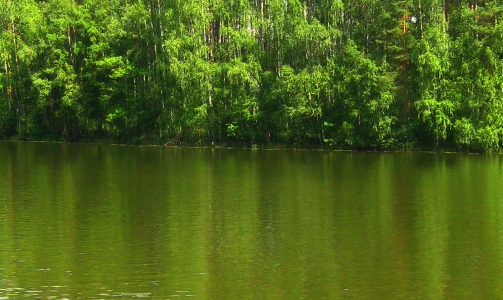 Рыбалка в Ярославской области