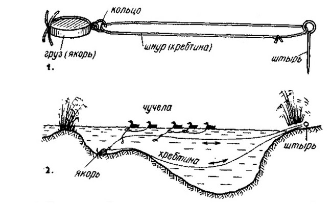 Установка чучел