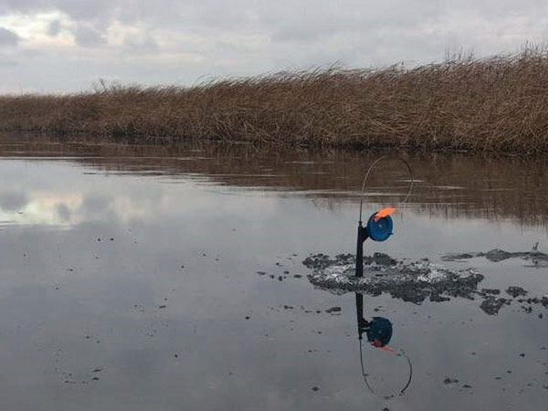 жерлицы на щуку