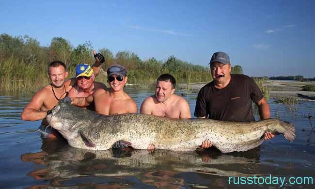 надо измерить!