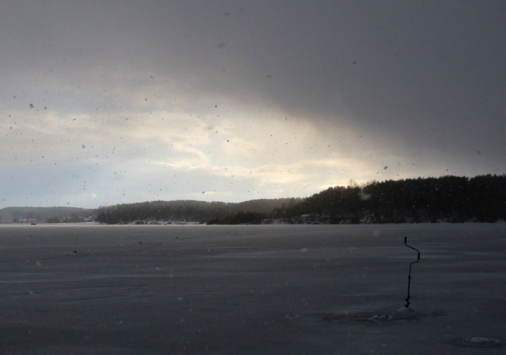 Снежный заряд принес надежду на активизацию зубастой