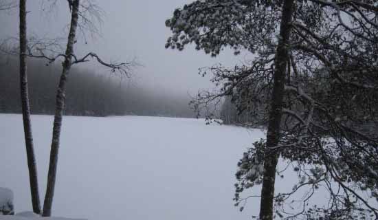 Ловля леща ночью зимой