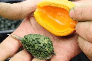 Кормушка «Метод» набита граннулированым кормом