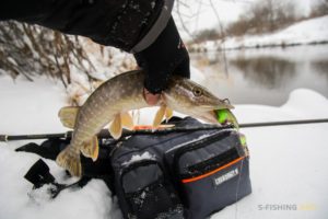 В КАКУЮ ПОГОДУ ЛОВИТЬ ЩУКУ: ЛУЧШАЯ ПОГОДА ДЛЯ ЛОВЛИ ЩУКИ