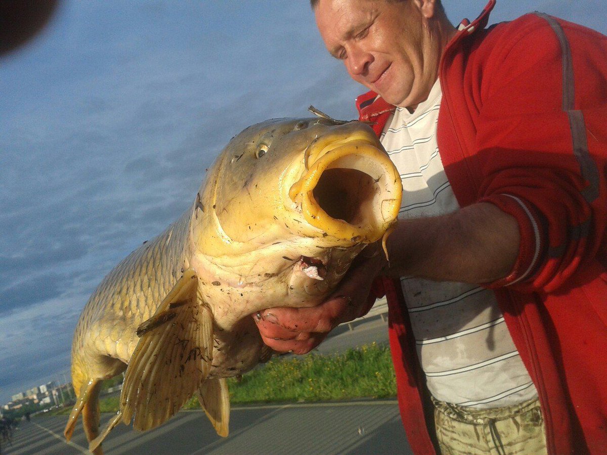 Прогноз клёва рыбы в пгт Игра