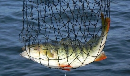 Рыбалка на Вазузском водохранилище