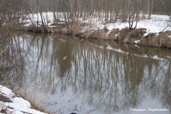 Рыбалка все о способе ловле фидер