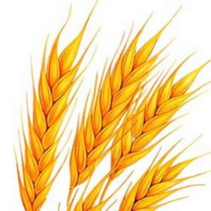 Рост сельского хозяйства в 2011 году произошел благодаря погоде - фото