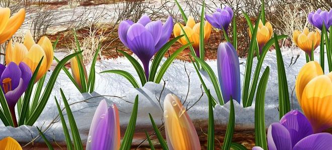 если в марте гроза