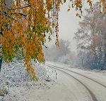 Если на покров идет снег - примета