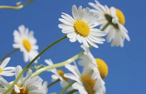 Февраль — народные приметы о погоде, о природе, на урожай