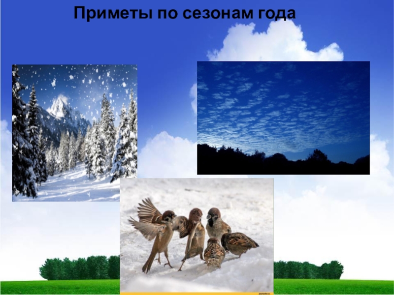 Приметы по сезонам года