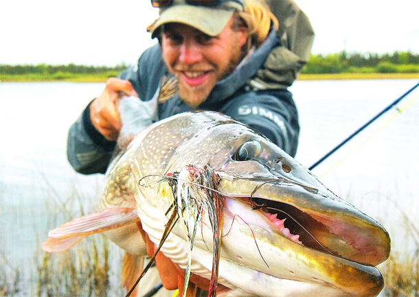 davlenie_pri_lovle-shuki