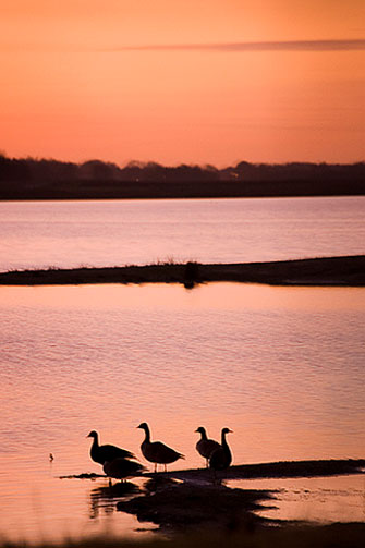 Какая будет зима? Народные приметы о погоде зимой