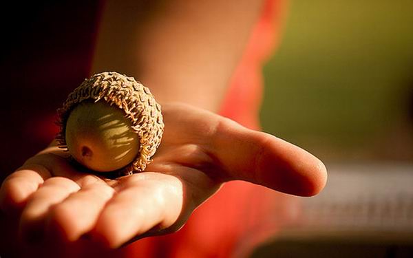 Какая будет зима? Народные приметы о погоде зимой