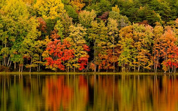 Какая будет зима? Народные приметы о погоде зимой
