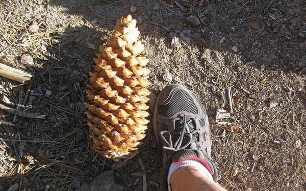 Какая будет зима? Народные приметы о погоде зимой