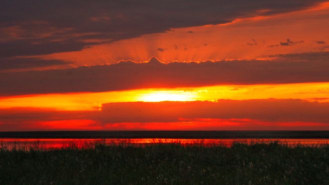 текст при наведении