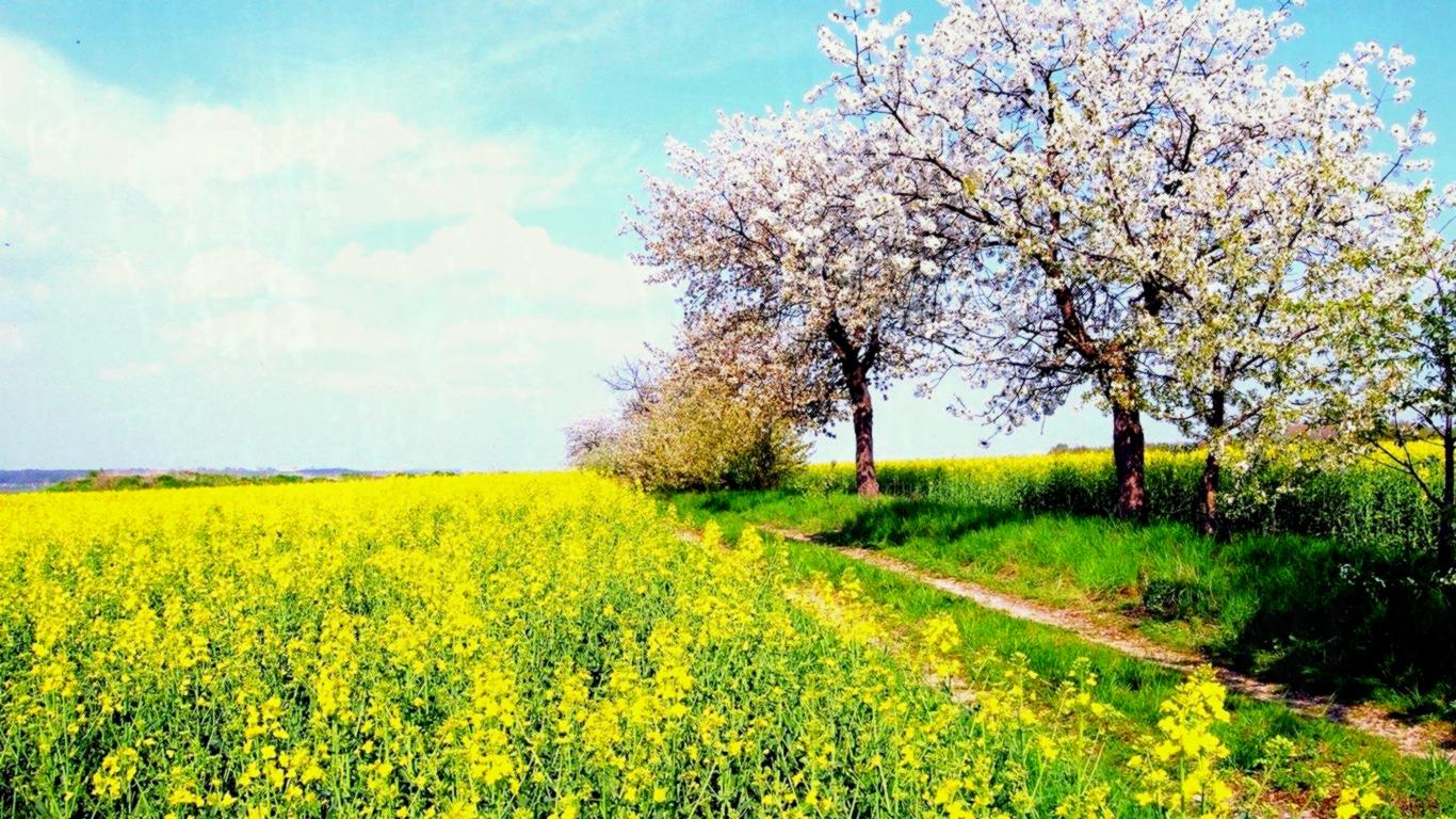 Какой будет погода в мае 2020