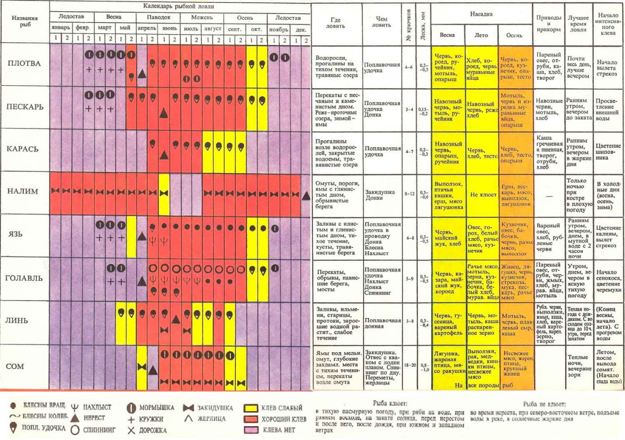 Ловля трофейной щуки осенью на спиннинг