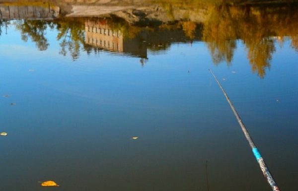 Полный штиль