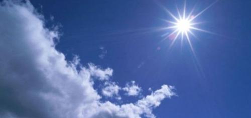 Птицы сидят на верхушках деревьев. Народные приметы по птицам