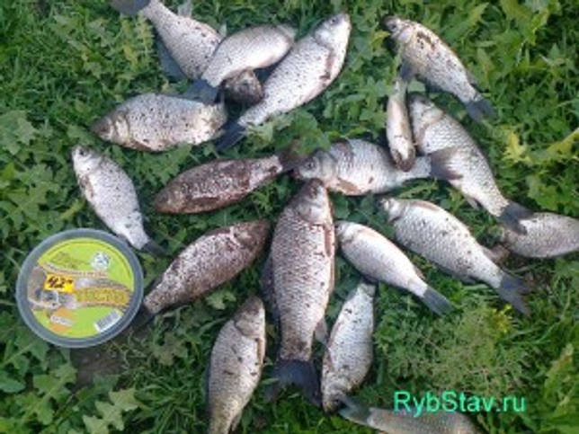 Калаус: рыбалка и какая рыба водится