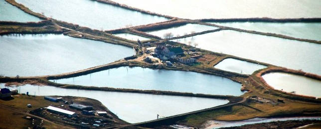 Калаус: рыбалка и какая рыба водится