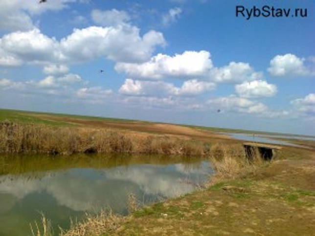 Калаус: рыбалка и какая рыба водится