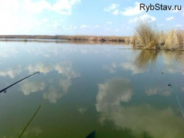Калаус: рыбалка и какая рыба водится