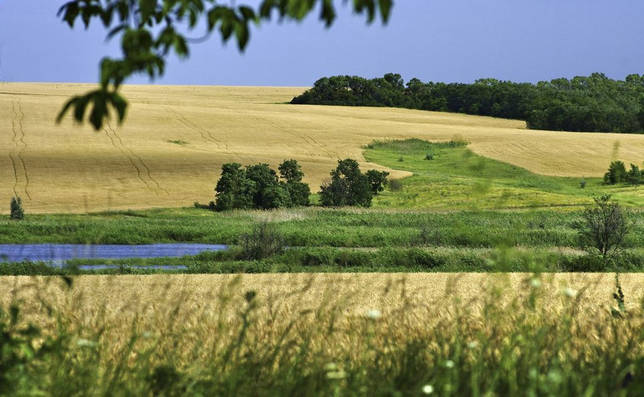 Калаус: рыбалка и какая рыба водится