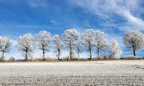 Календарь народных праздников на декабрь 2020: приметы и суеверия
