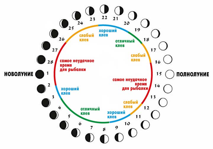 Фазы луны для рыбной ловли