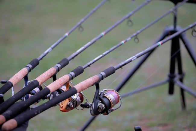 Выбор удочки