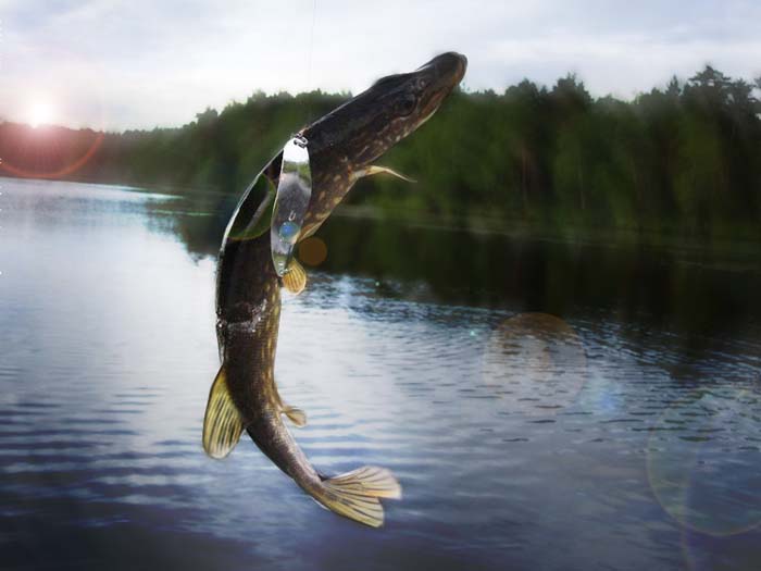 Карелия отдых летом: рыбалка, погода, где отдохнуть