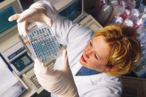 организм человека