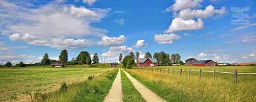 Летние погодные приметы