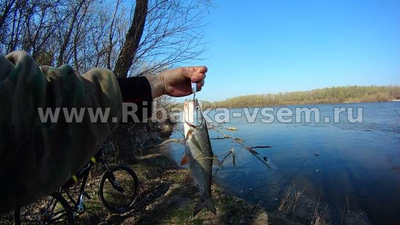 Лучшая погода для рыбалки, факторы влияющие на клёв