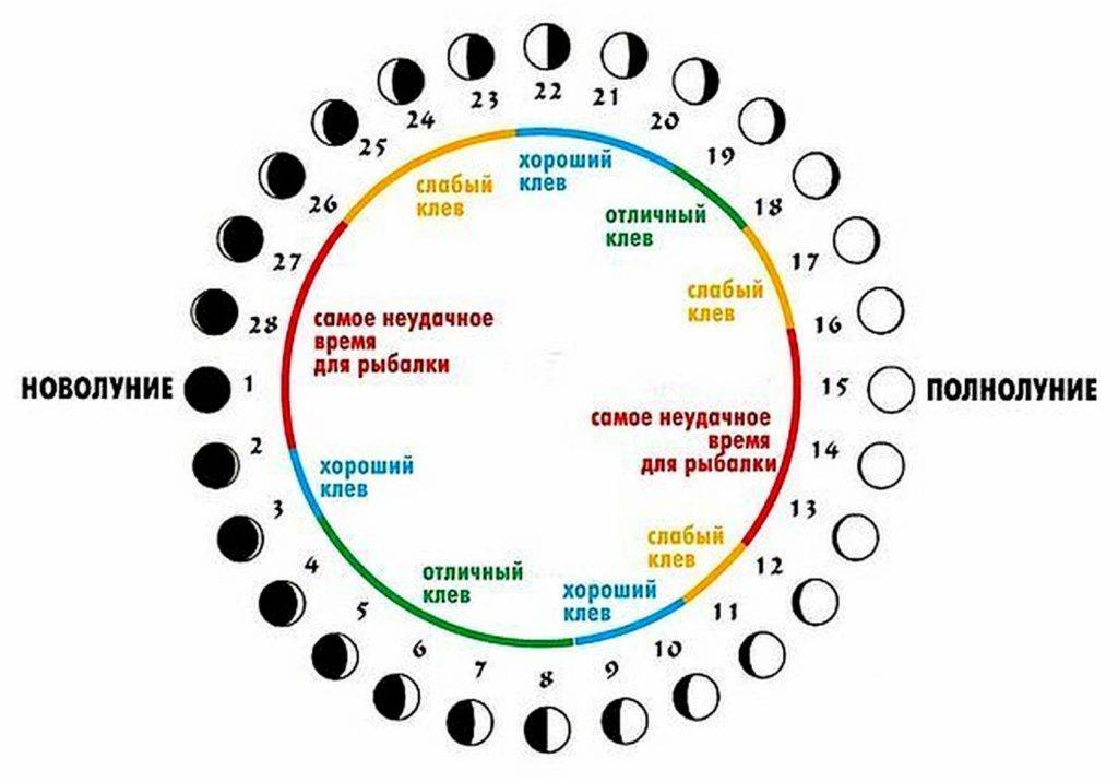 Влияние луны на клев рыбы