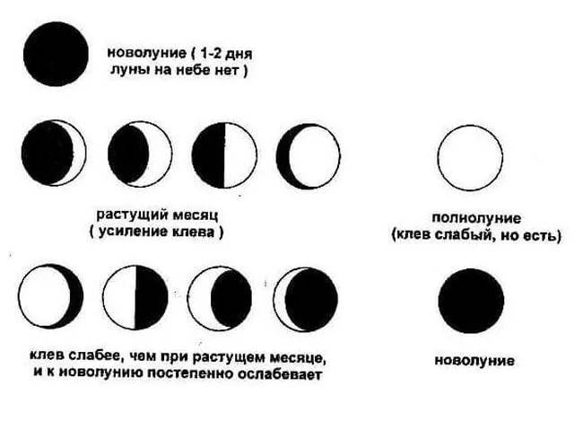 Луна и рыбалка